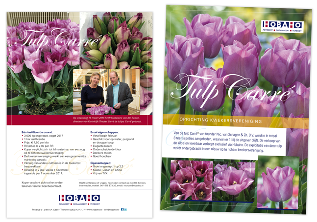 flyer.hobaho.tulp.Carre