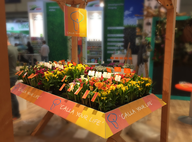 Calla-your-life-op-beurs