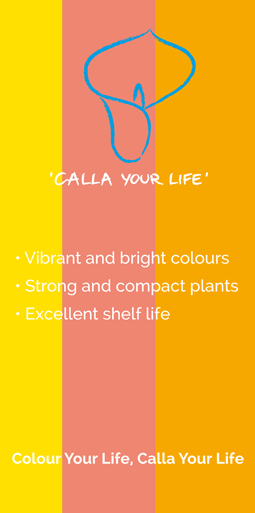 Calla your life