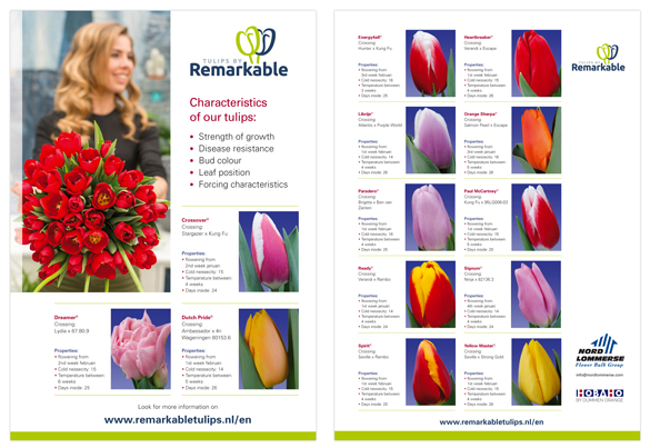 flyer_Remarkable263