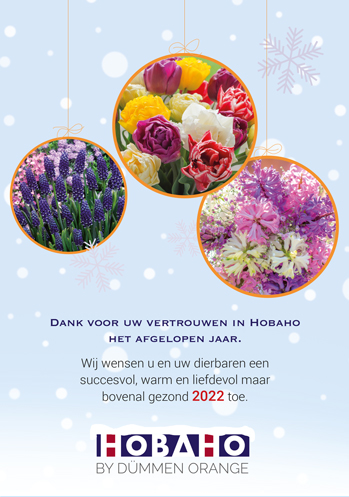 kerstkaart